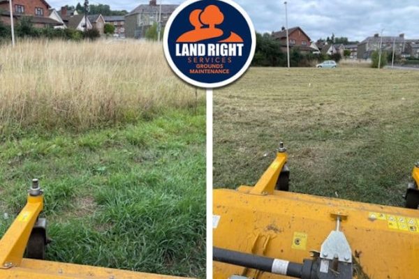 Grass cutting
