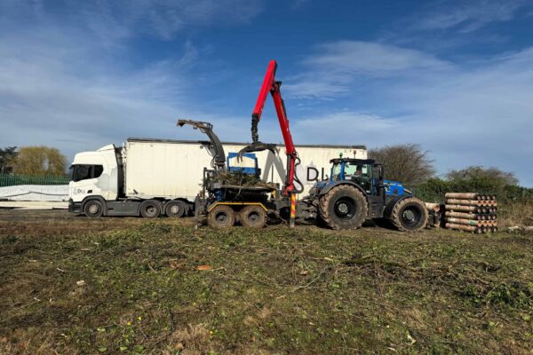 Commercial Tree Removal Services Shropshire (4)